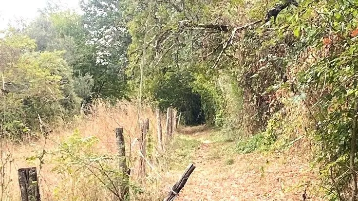 SAINT-AMAND DE VERGT-Boucle de Neufont-Chemin