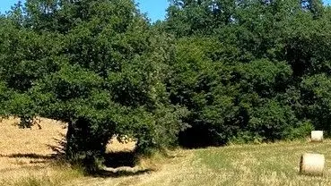 SAINT ANTOINE D'AUBEROCHE-Boucle de Puybertie-Chemin 2