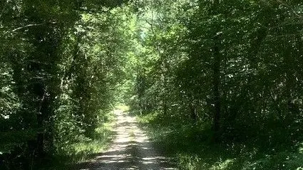 SAINT ANTOINE D'AUBEROCHE-Boucle de Puybertie-Chemin