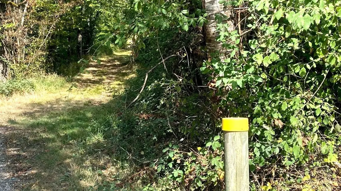 SAINT GERAC-Boucle du Plateau-Chemin