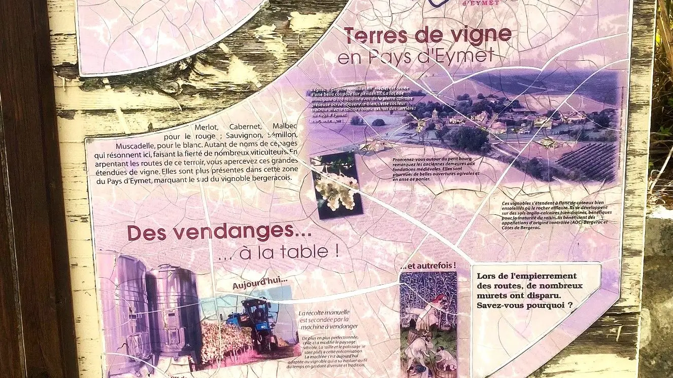 SAINT-JULIEN D'EYMET-Boucle du Pas de l'Âne-Panneau d'info