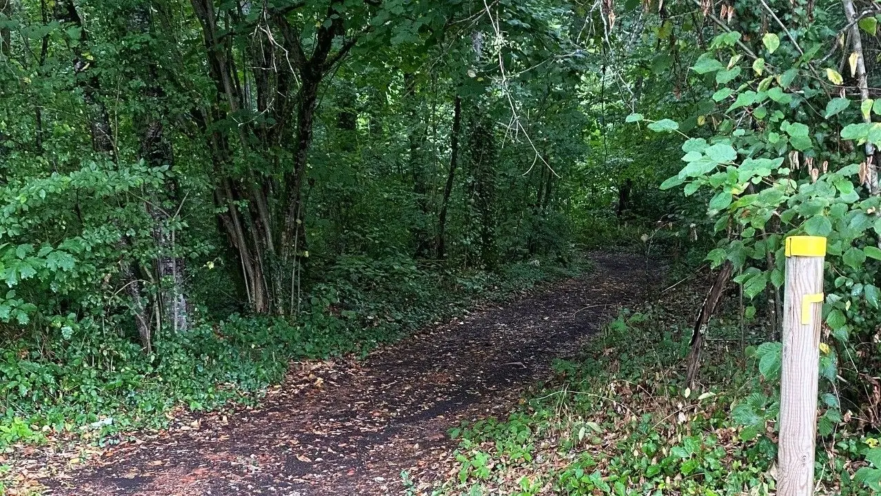 SAINT-MAYME DE PEREYROL-Boucle Saint-Maymoise-Chemin-Poteau