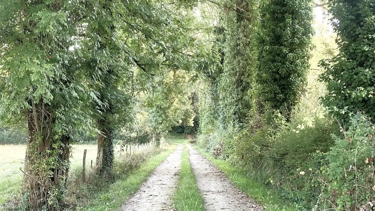 SAINT-VINCENT-LE-PALUEL-Boucle de la Salvie-Chemin