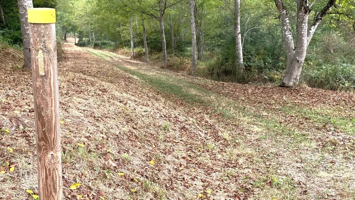 SALON-Boucle du chemin buissonnier-Chemin-Poteau