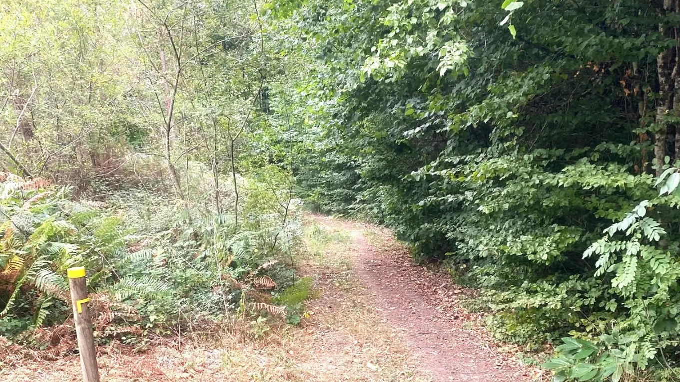 SORGES-Boucle des chateaux-Chemin 2