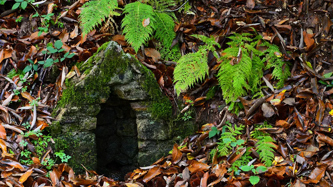 Bonnes Fontaines de Courbefy