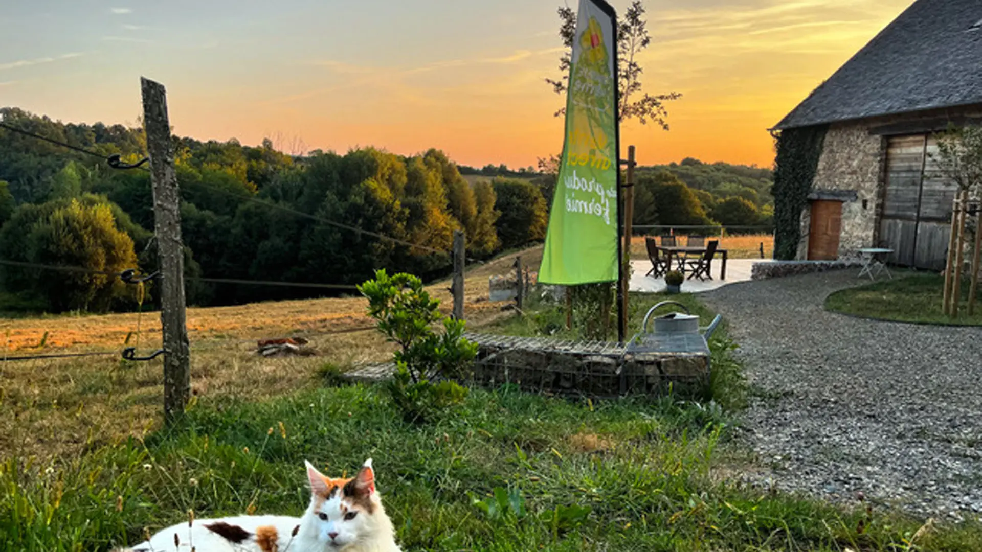 Safran_de_la_Vézère1