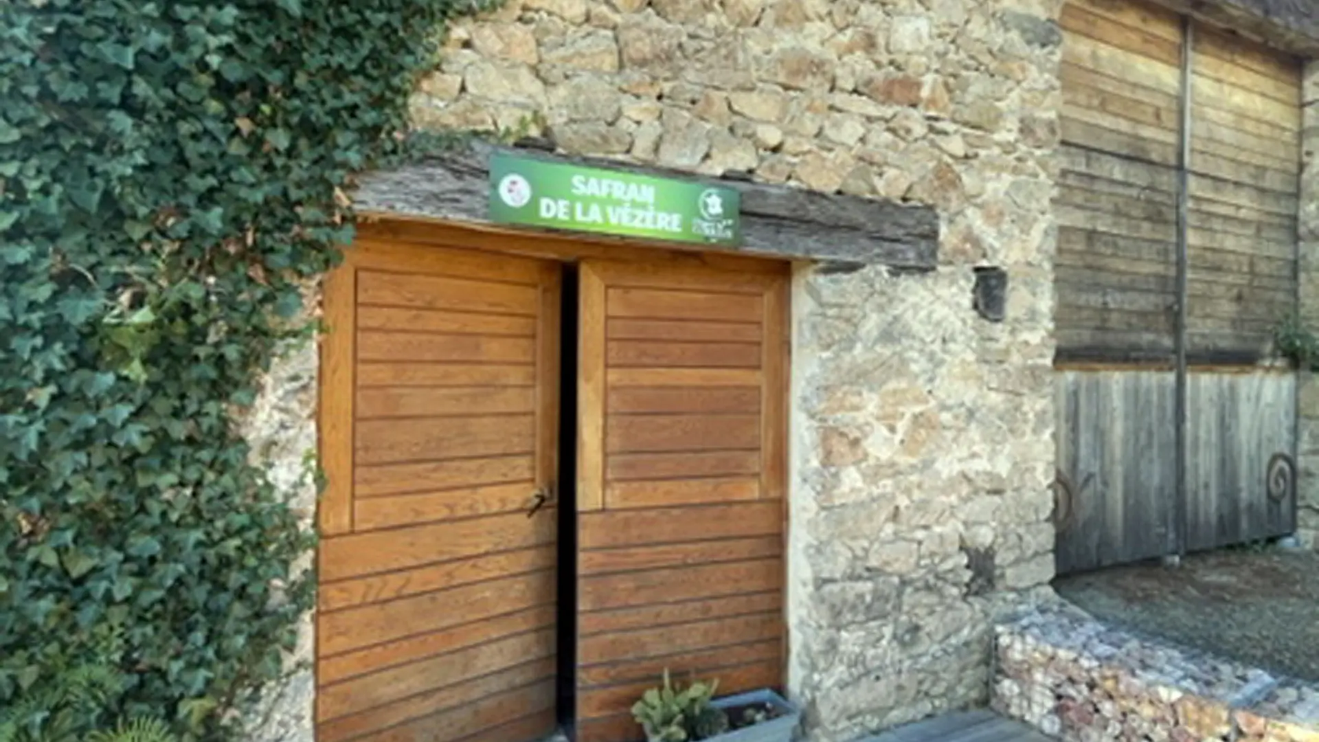 Safran_de_la_Vézère5