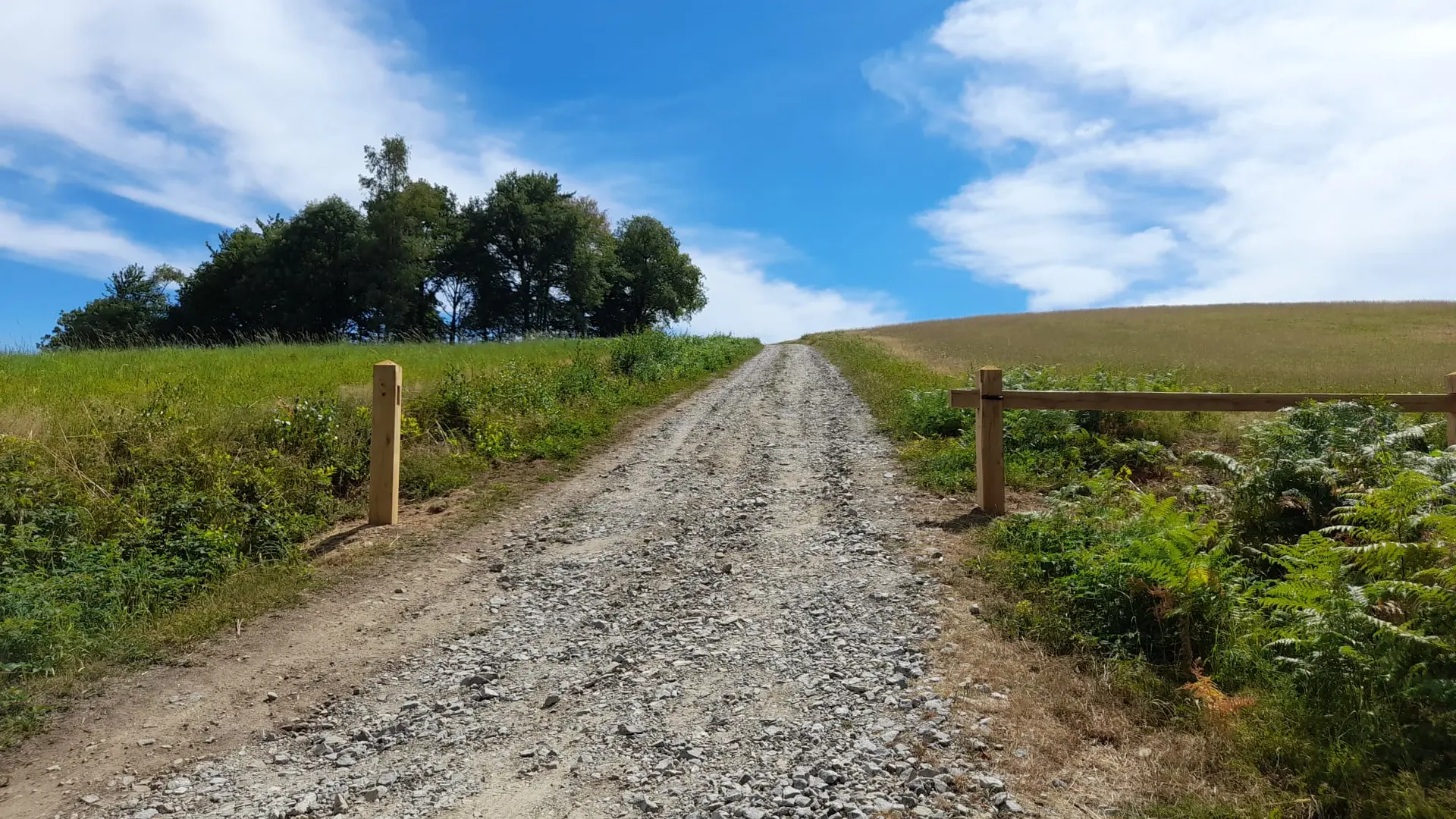 Saint-Hilaire-les-Courbes - Puy du Mas 2 © N Jumelle