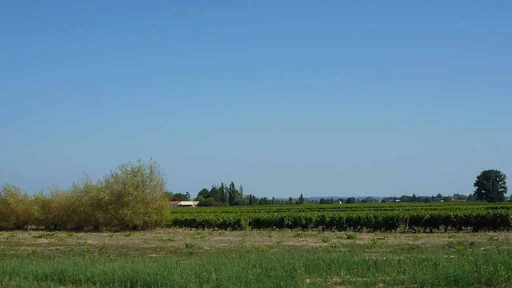 Saint_Laurent_des_Vignes2