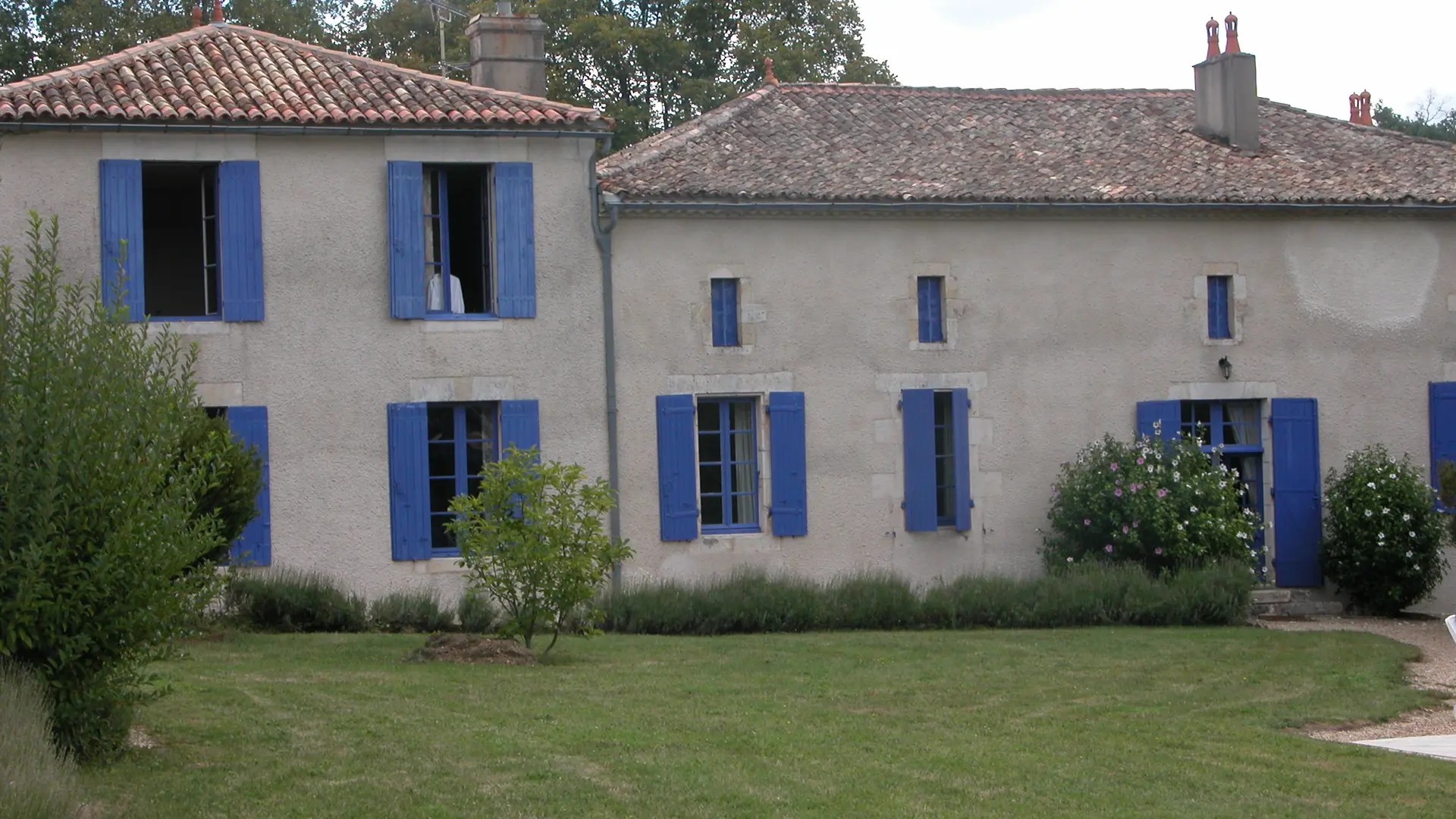 Sauvageonne