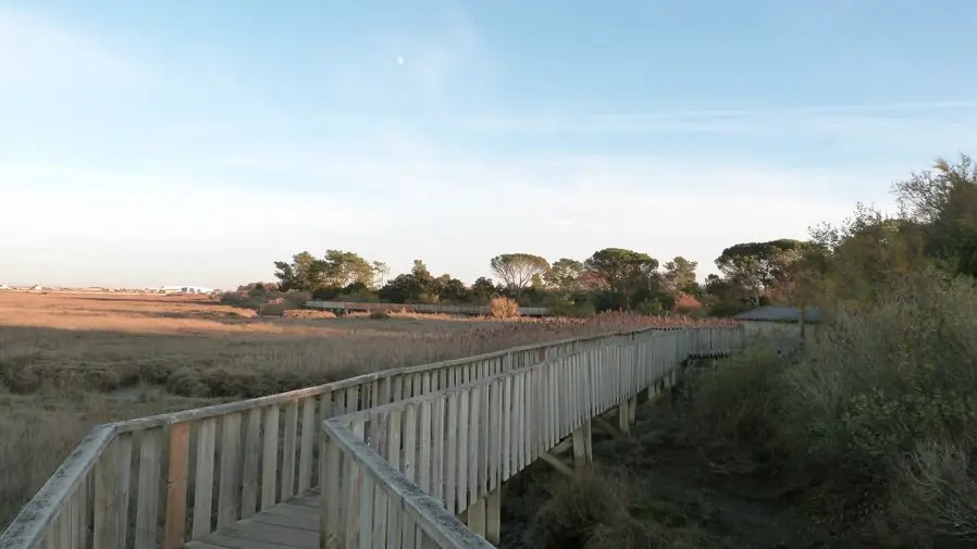 Sentier du littoral (21) [800x600]