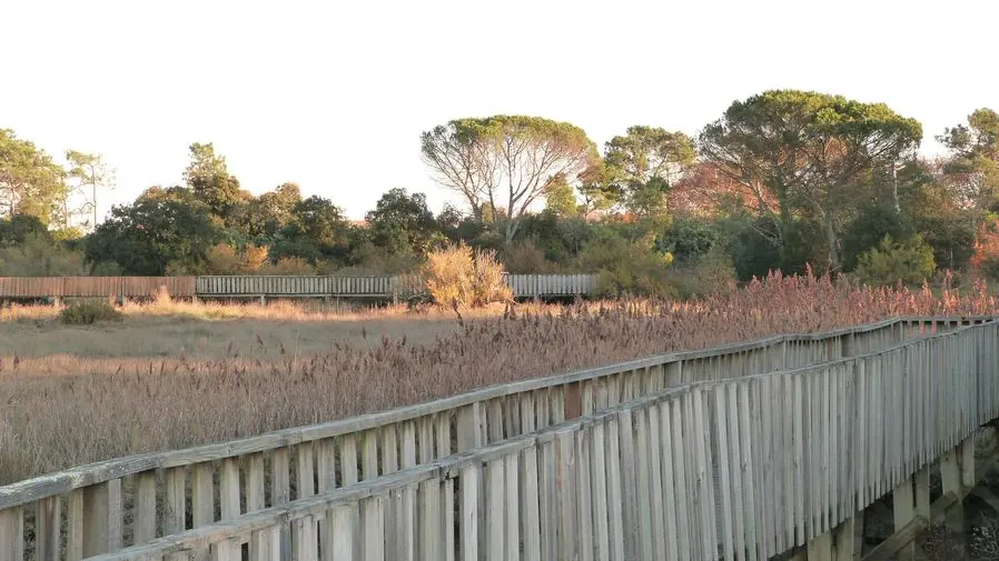 Sentier du littoral (22) [800x600]