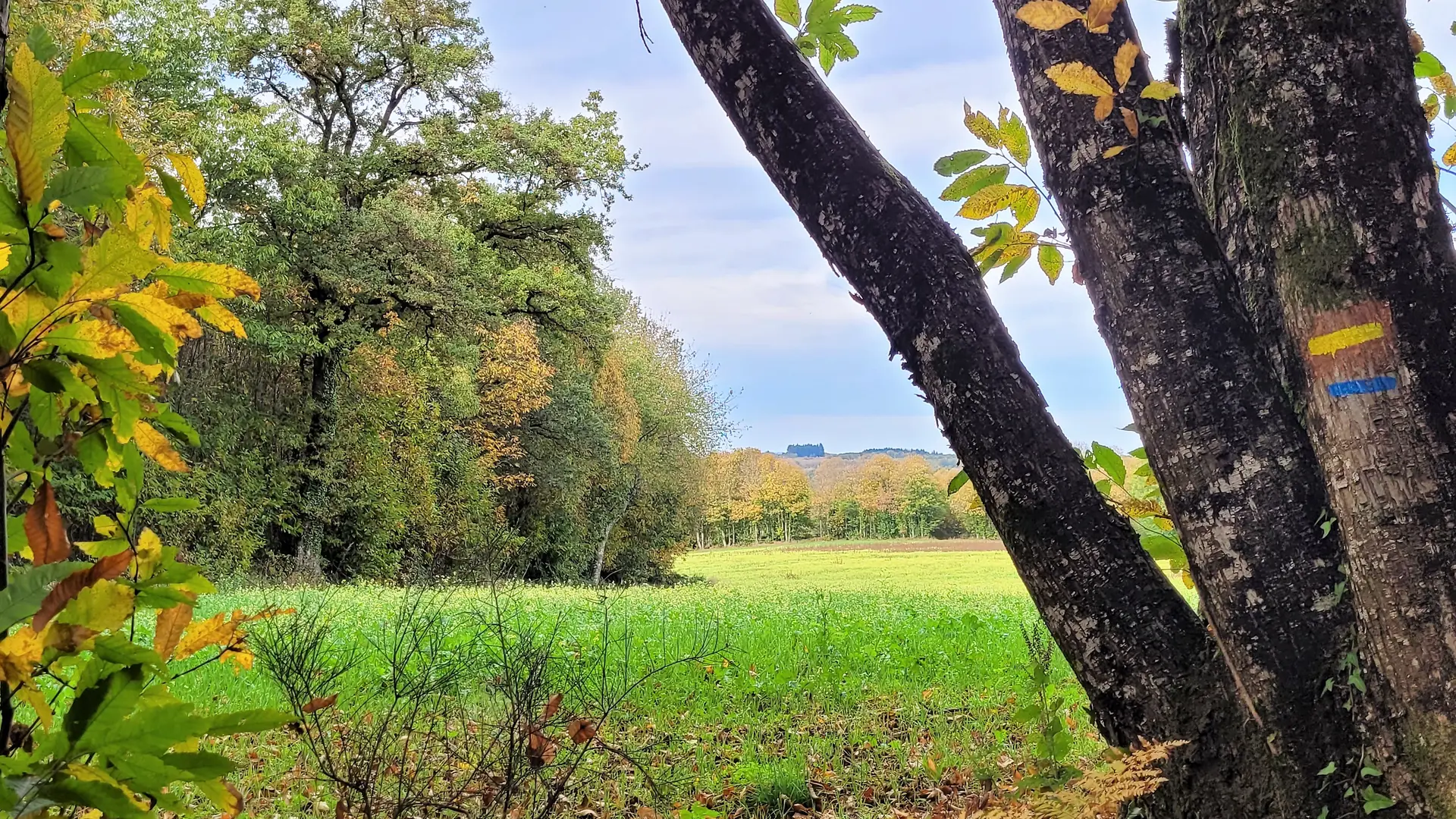 Sentier randonnee