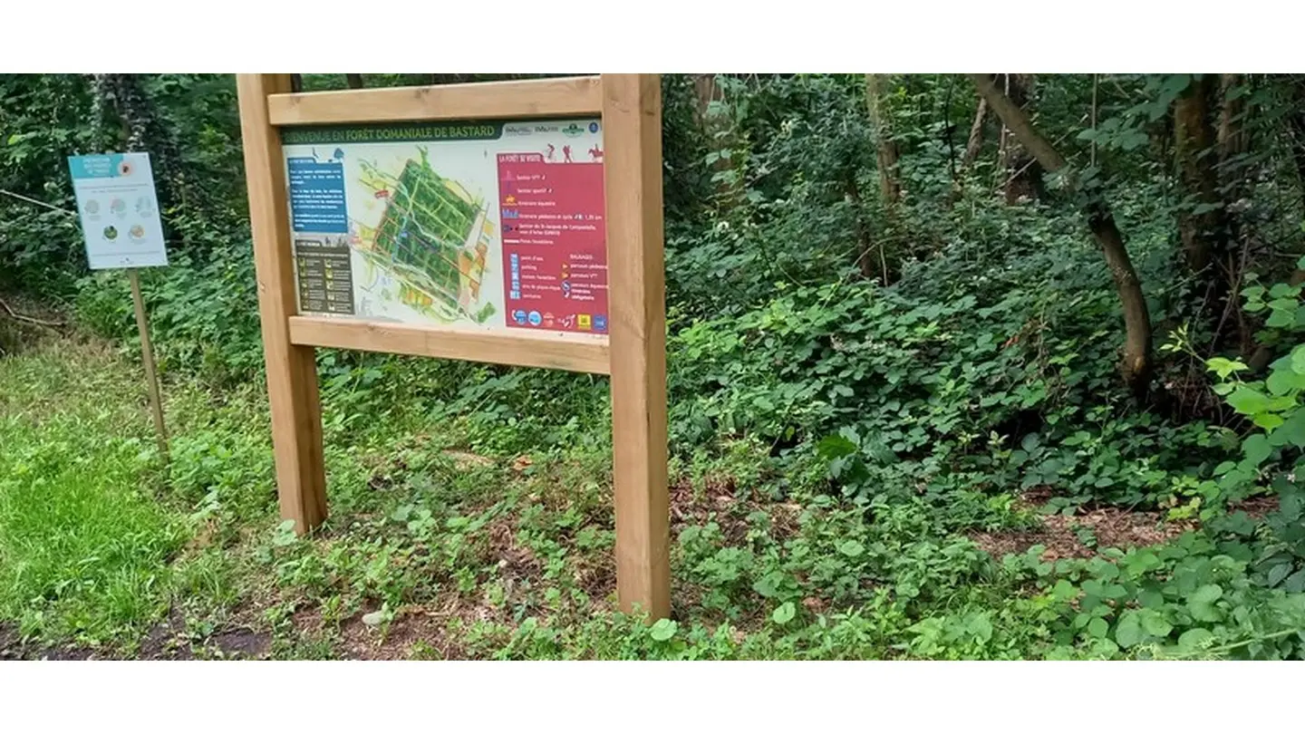 Sentier tourisme & handicap du Bois de Pau 2