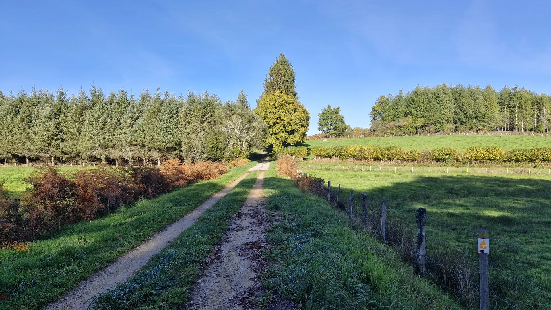 Sentiers - Circuit du bourg - Lamongerie © JL (1)