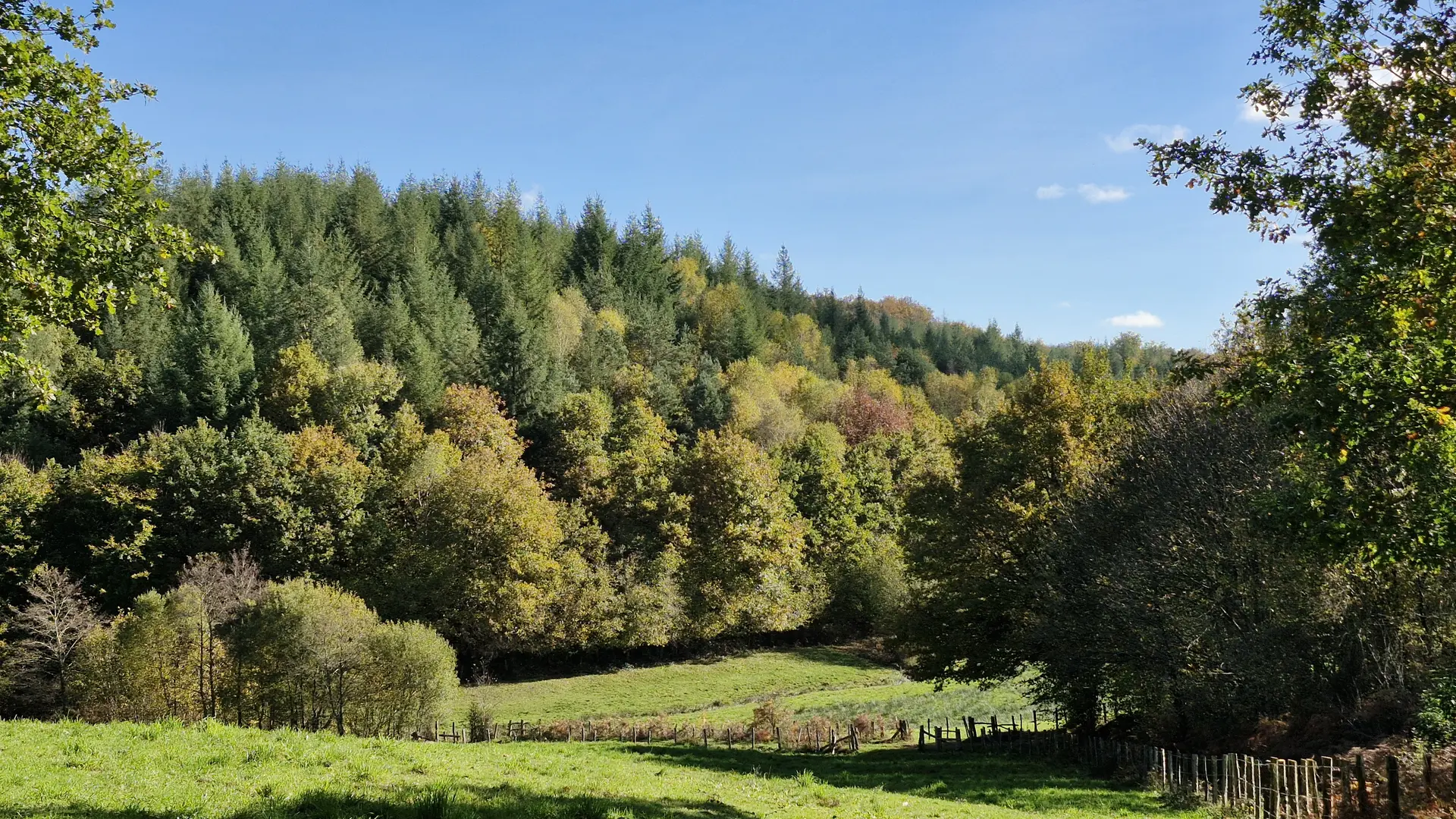 Sentiers - Circuit du bourg - Lamongerie © JL (13)