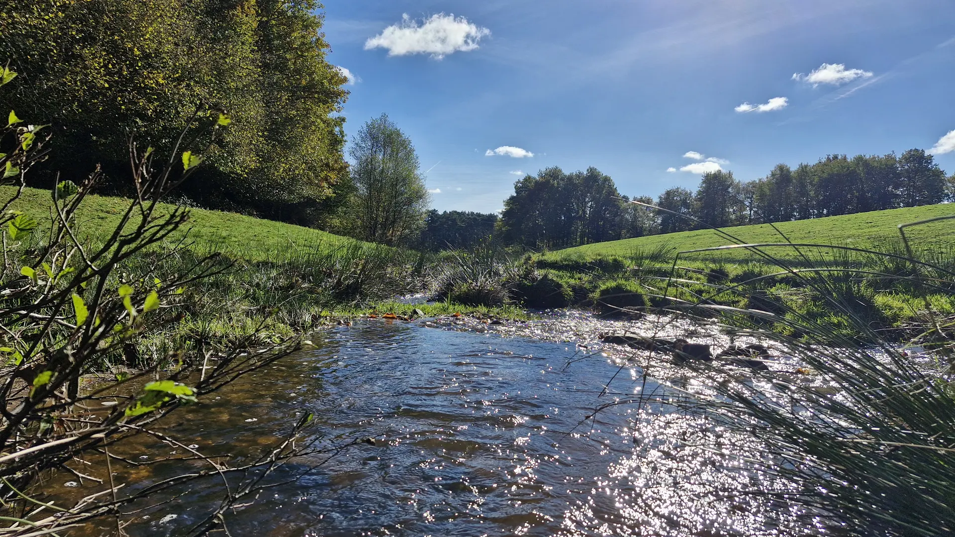 Sentiers - Circuit du bourg - Lamongerie © JL (24)