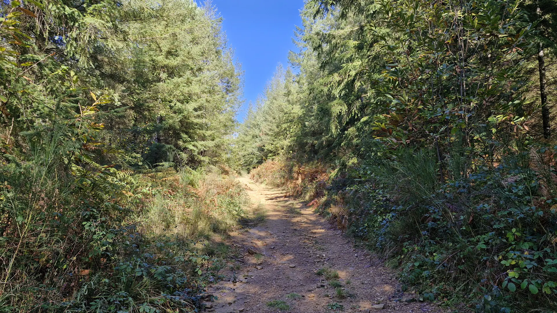 Sentiers - Circuit du bourg - Lamongerie © JL (26)