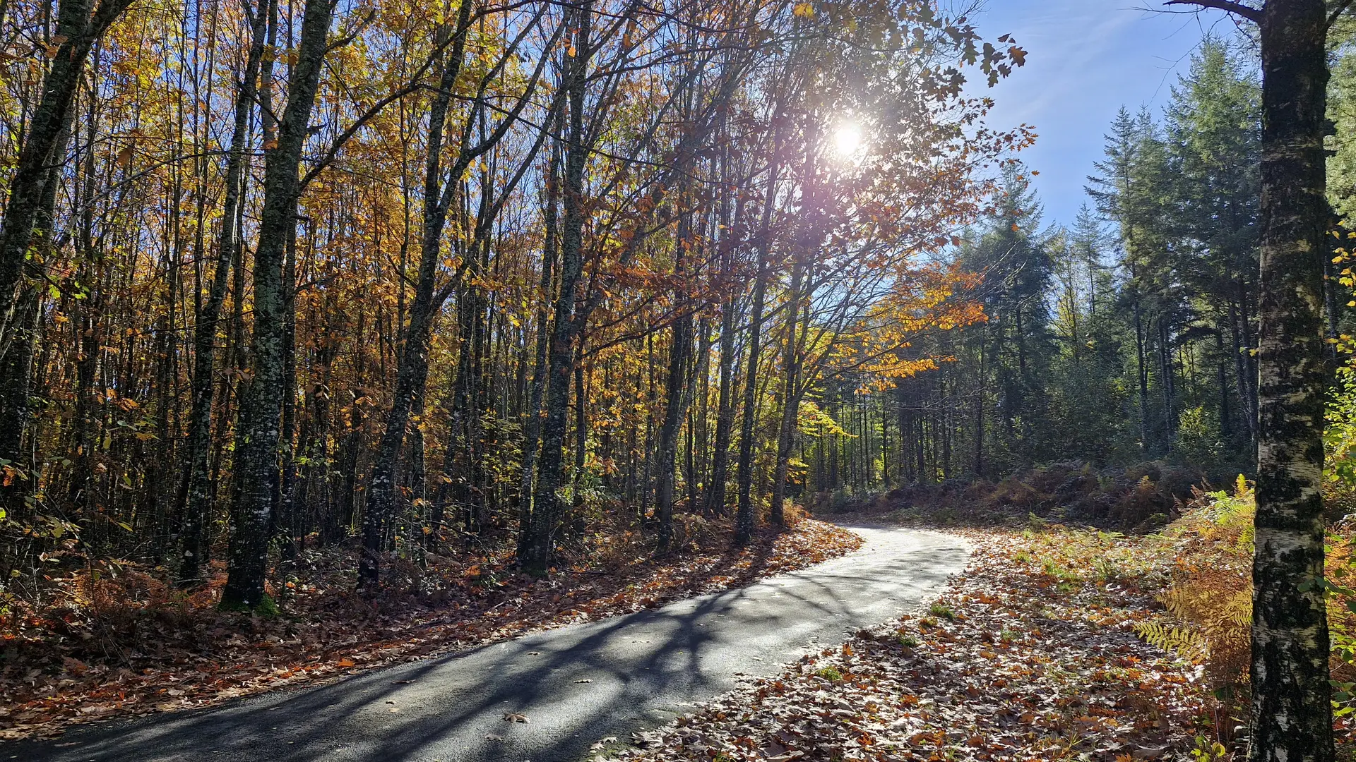 Sentiers - Circuit du bourg - Lamongerie © JL (29)