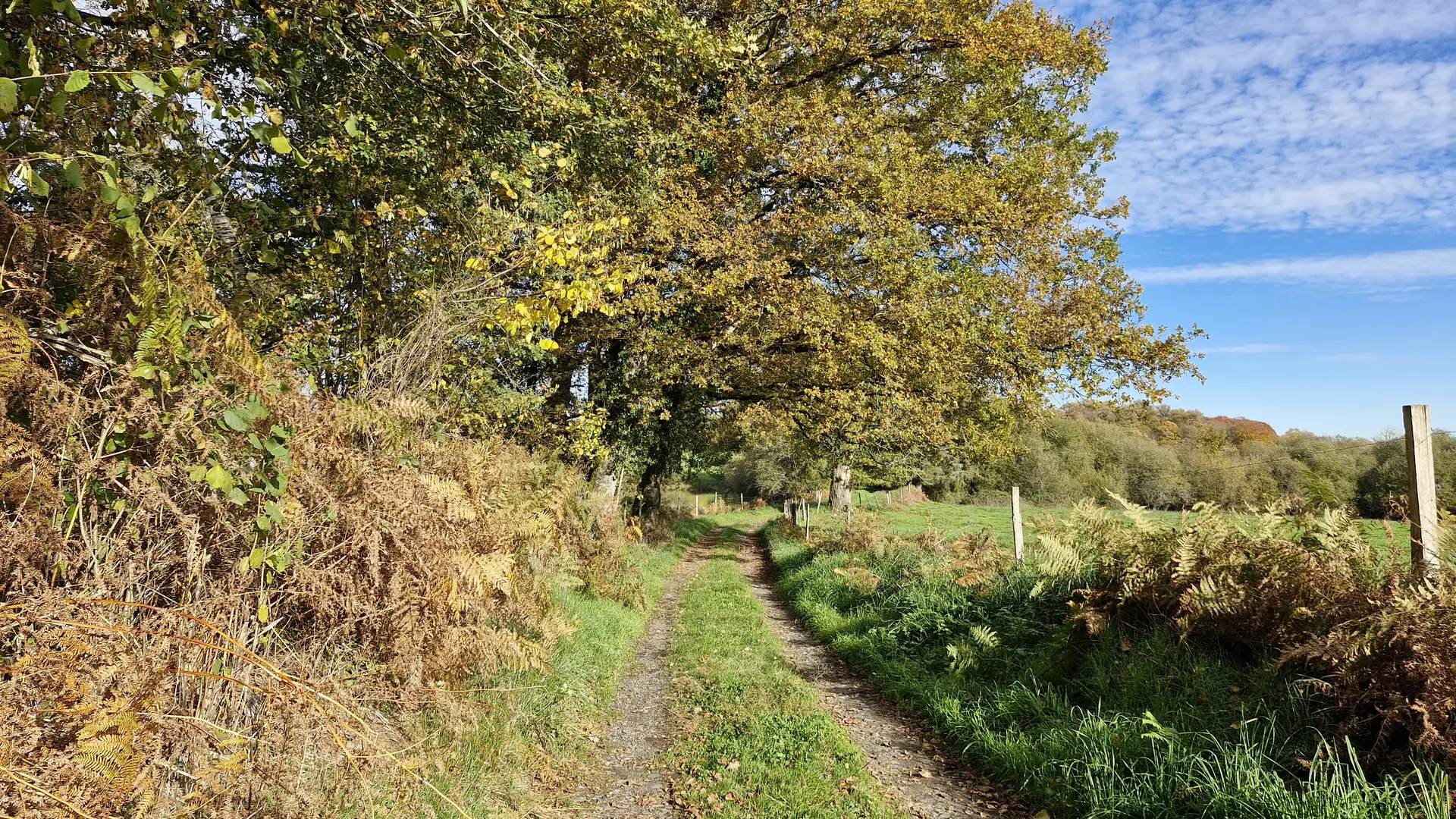 Sentiers - pont des farges et de chanterane - Troche © JL (11)