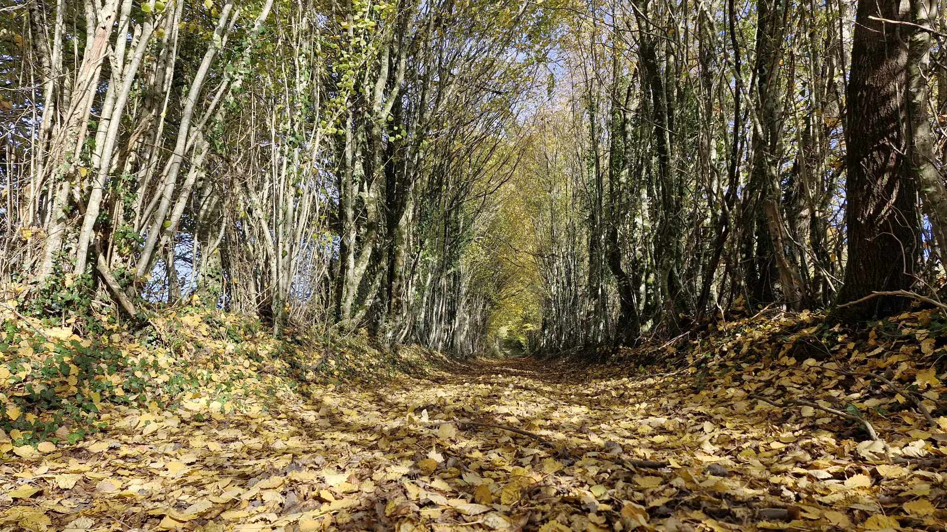 Sentiers - pont des farges et de chanterane - Troche © JL (3)