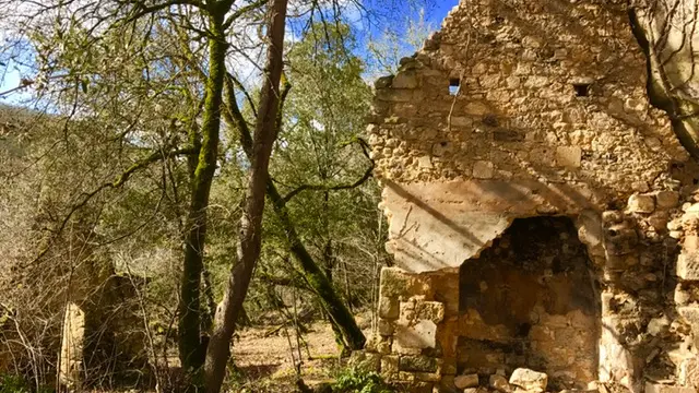 Site Troglo forêt de Campagne©A.Borderie (1)