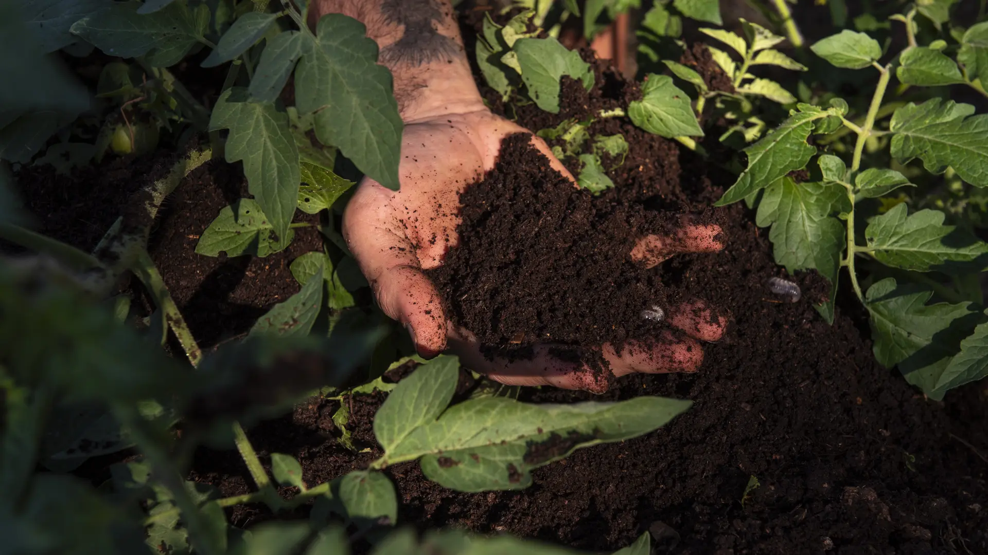 association Permatrek