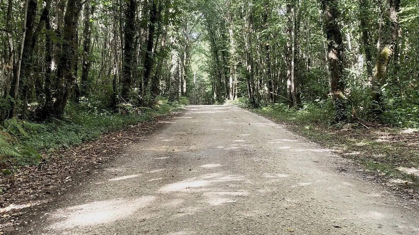 TRELISSAC-Boucle de Caussade-Chemin