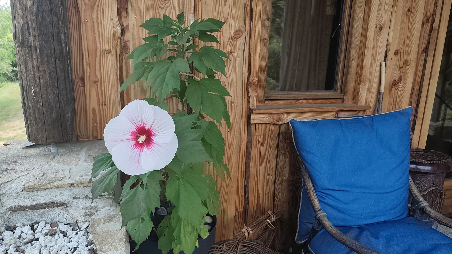 Terrasse chambre d'hôte La Chouette - Lubersac © Pia Banderne