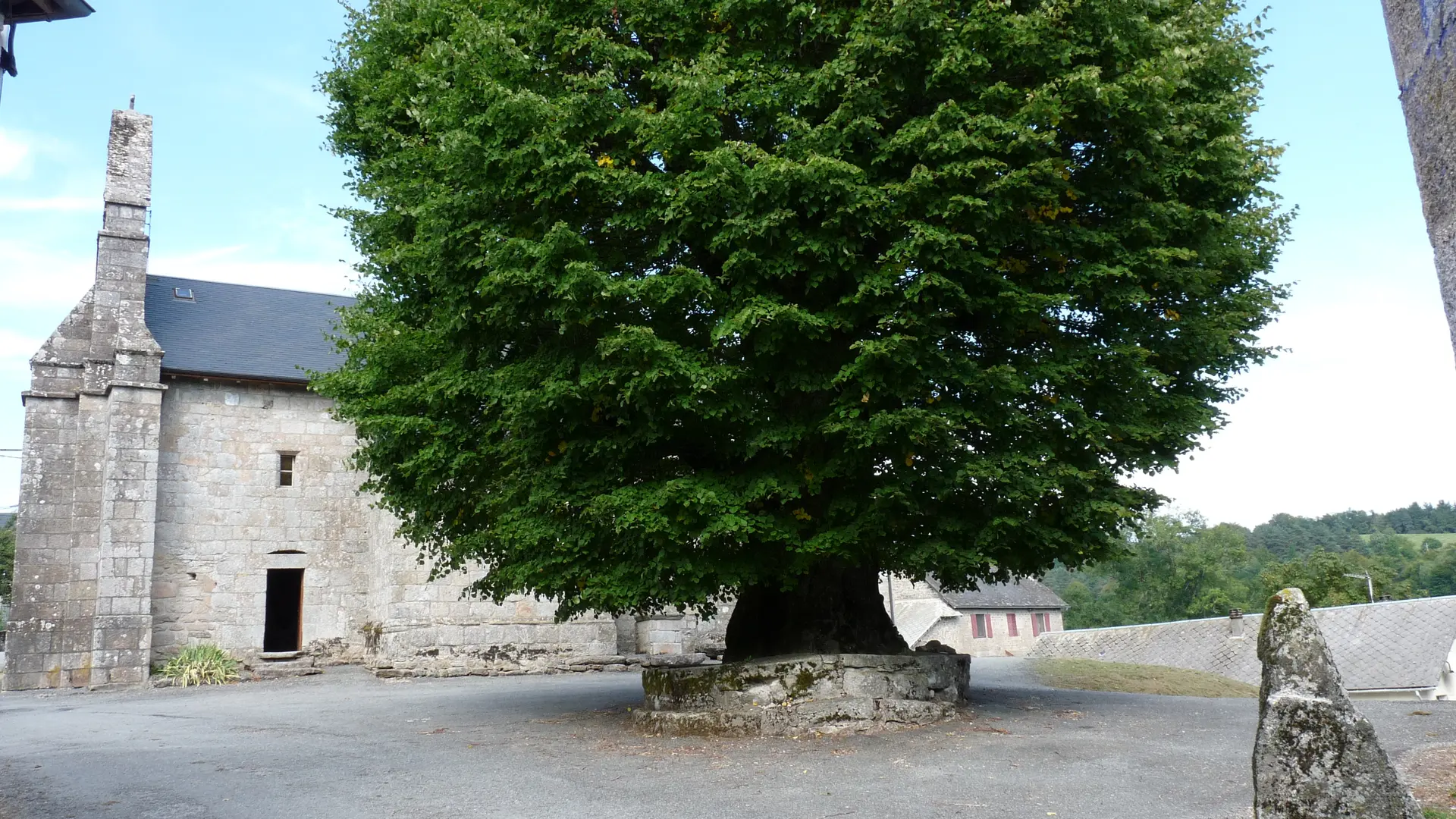 Tilleuil de Sully - Bonnefond© N. jumelle