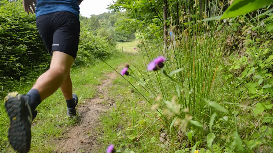Trail Parscours des Daims Les Cars