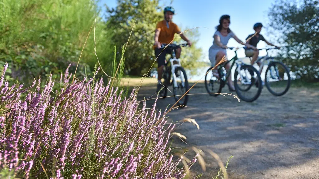 VTT à Vassivière-dépt.23