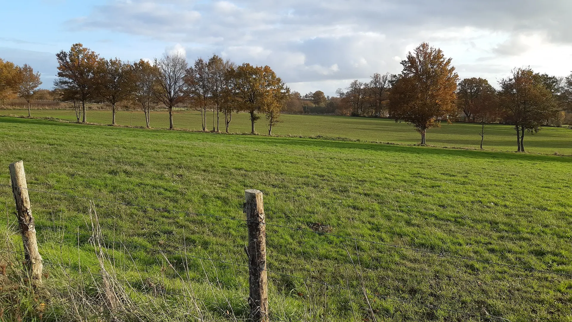 Vue sur la campagne