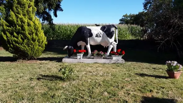 Vache déco-GAEC Cottin_web