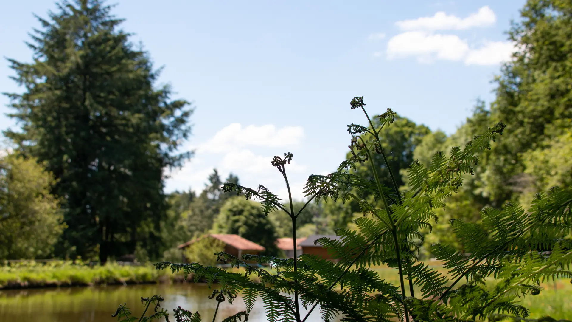 Vauguenige Juin 2019 © Sabine Massé-7