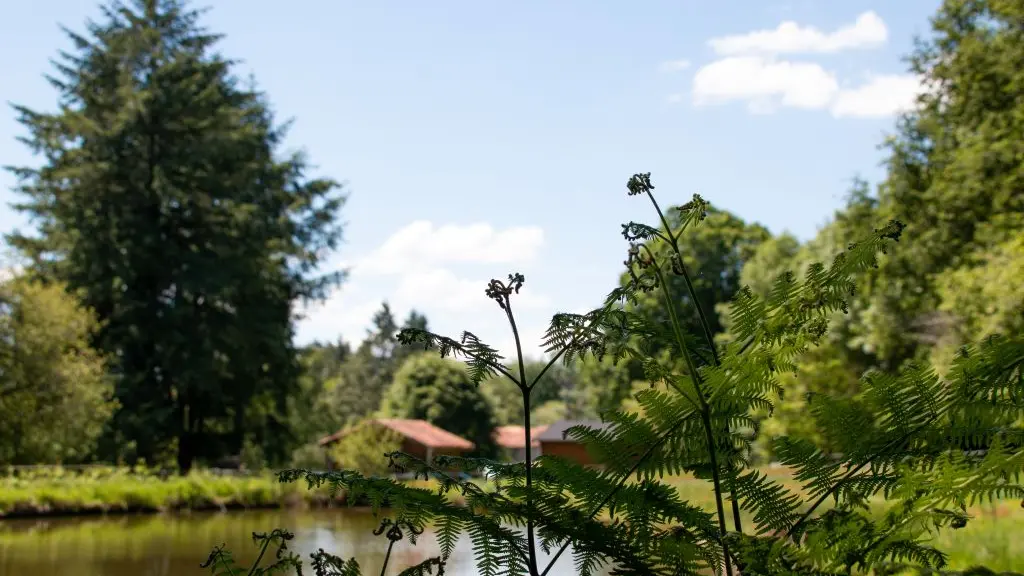 Vauguenige Juin 2019