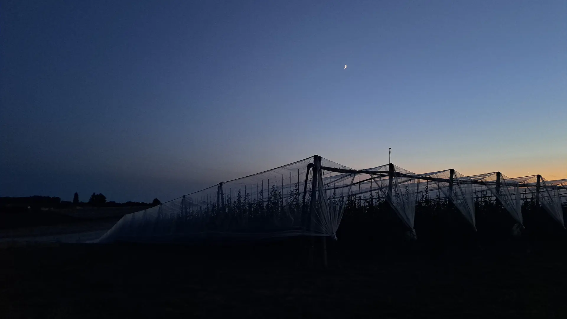 Vergers pommiers AOP - La Tine - Concèze © J.Lautrete - Office de Tourisme Terres de Corrèze