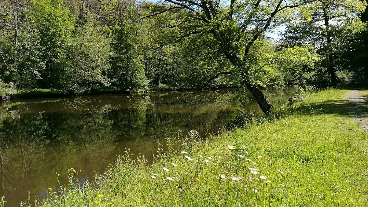 Vézère ©OT Terres de Corrèze