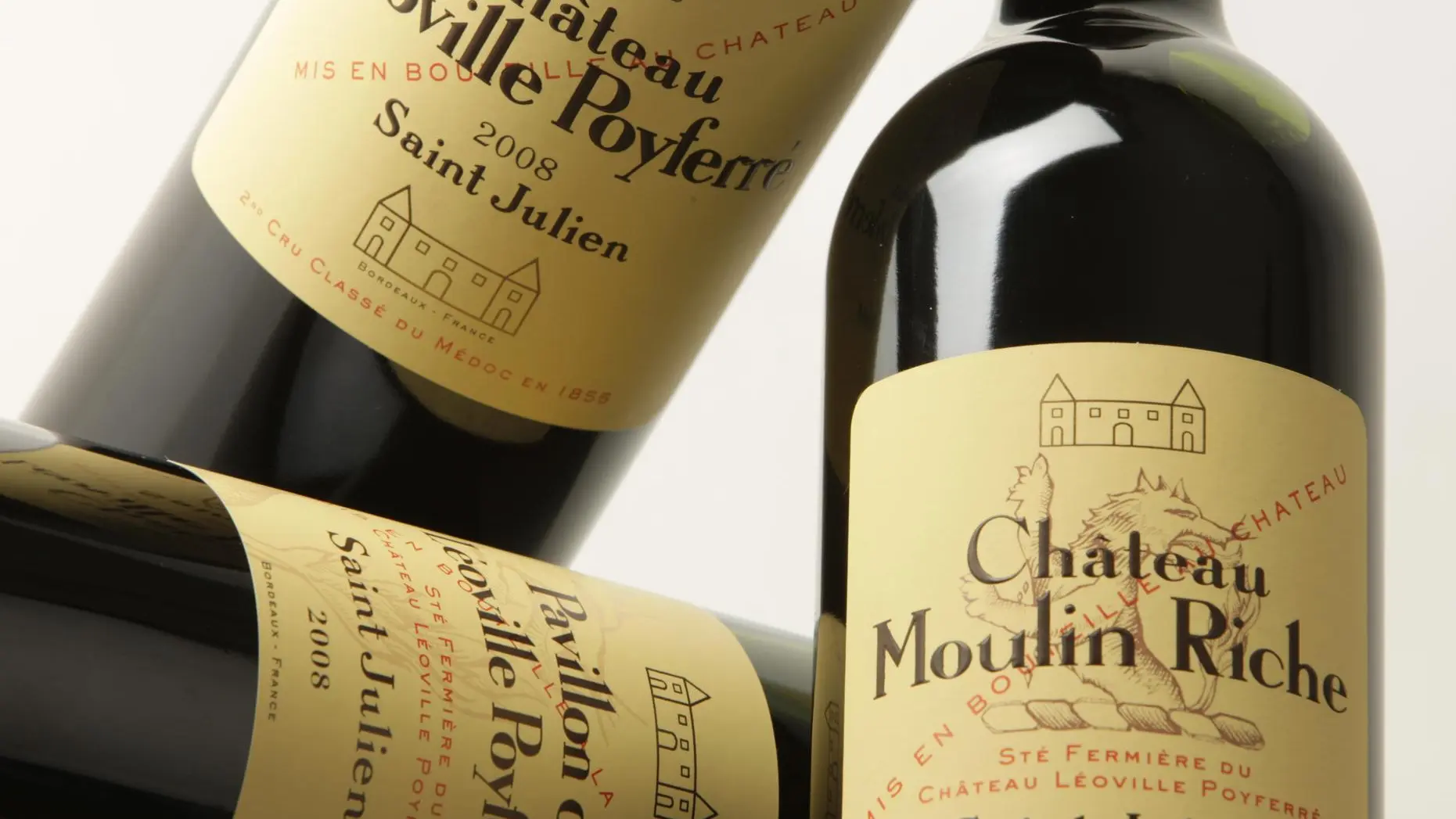 Vins credit photo Guy Charneau