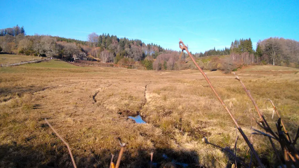 Viers_prairie_humide