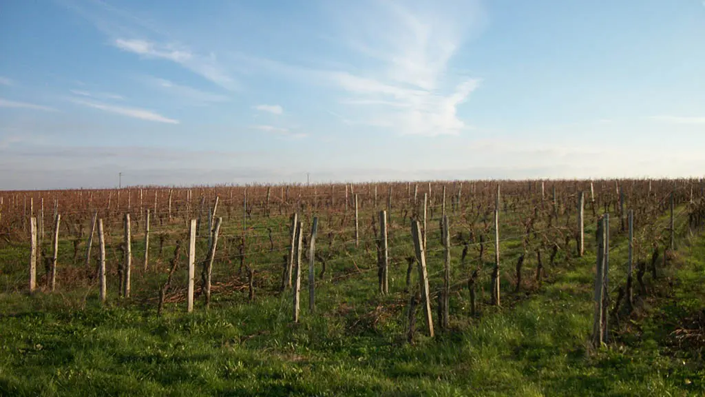 Vignobles