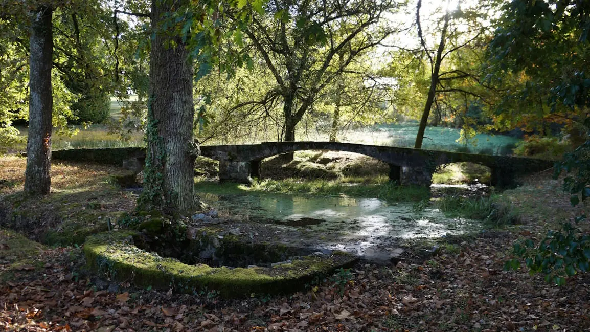 Villa Monteux - bassin du parc©
