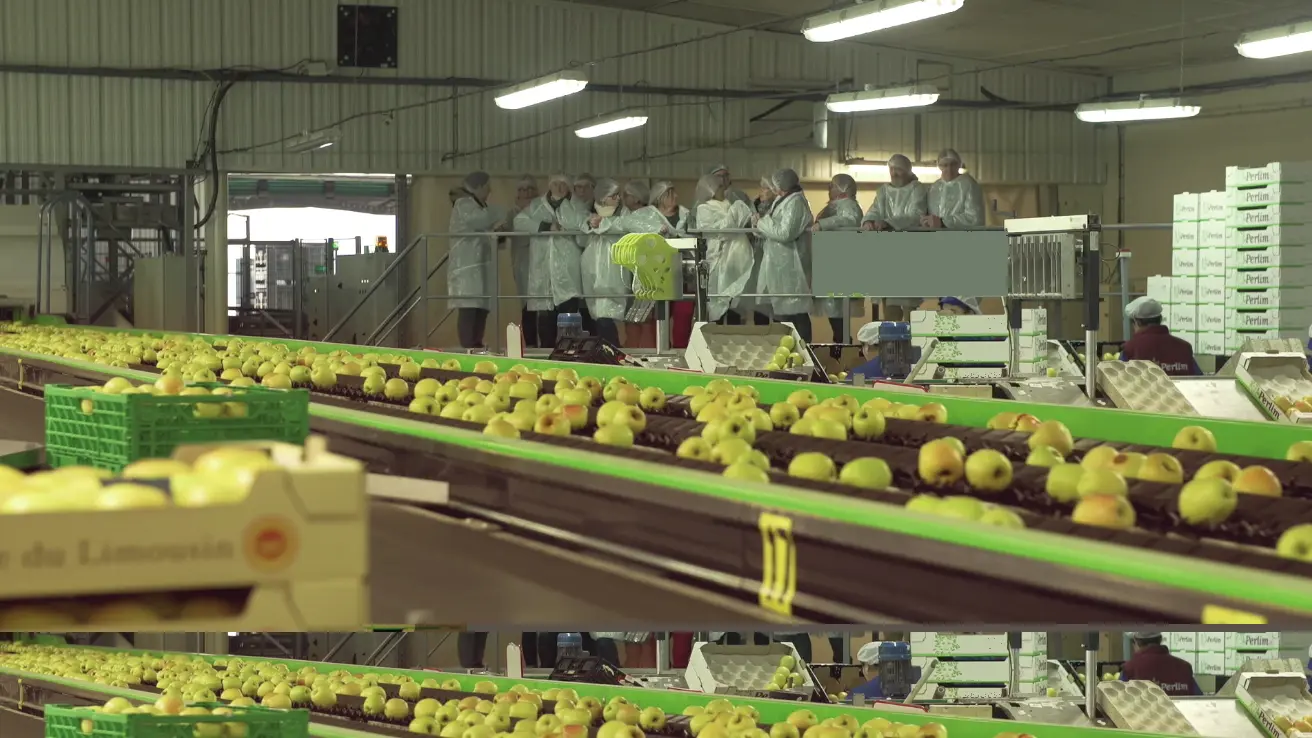 Visite cooperative