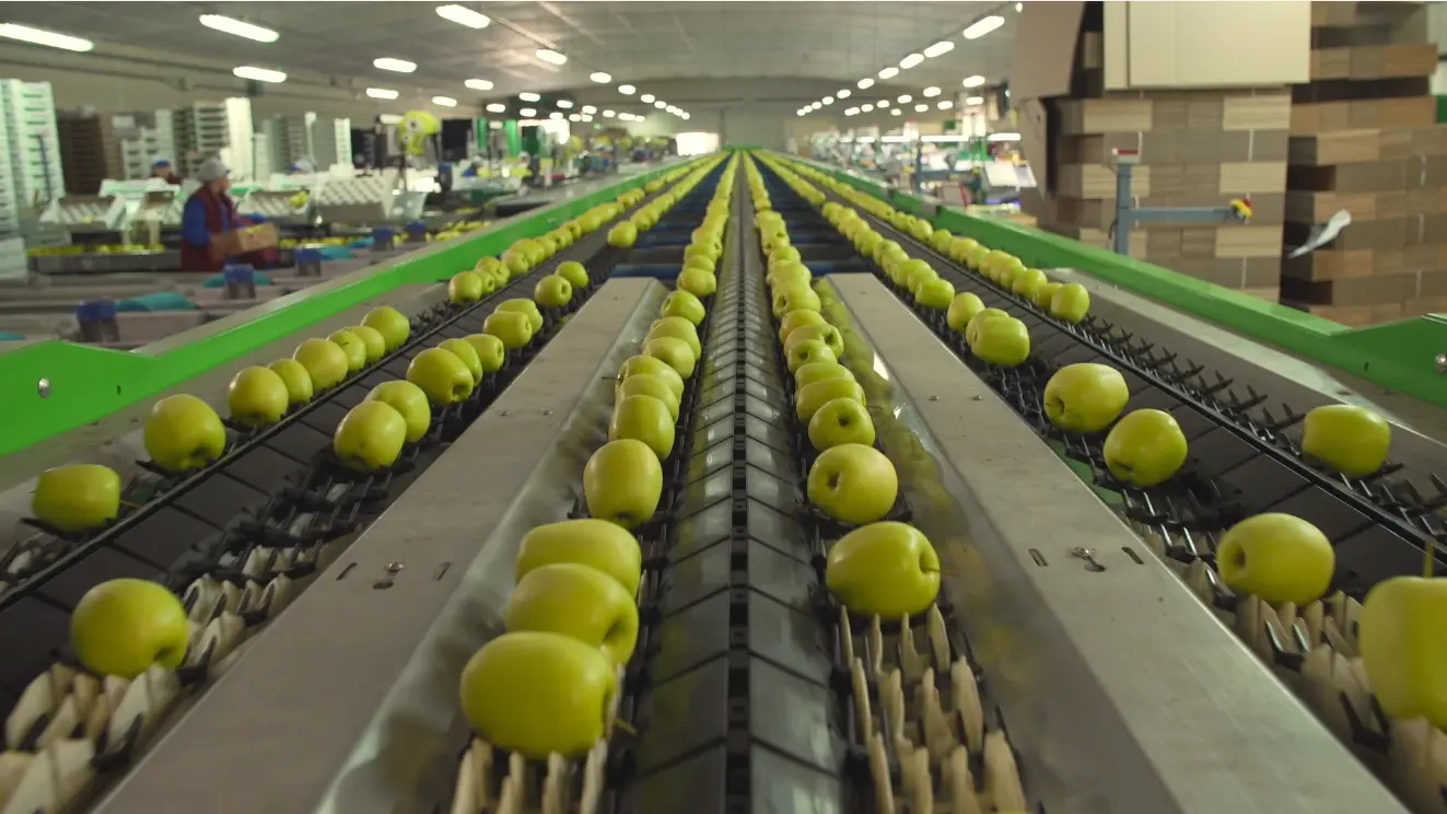 Visite cooperative