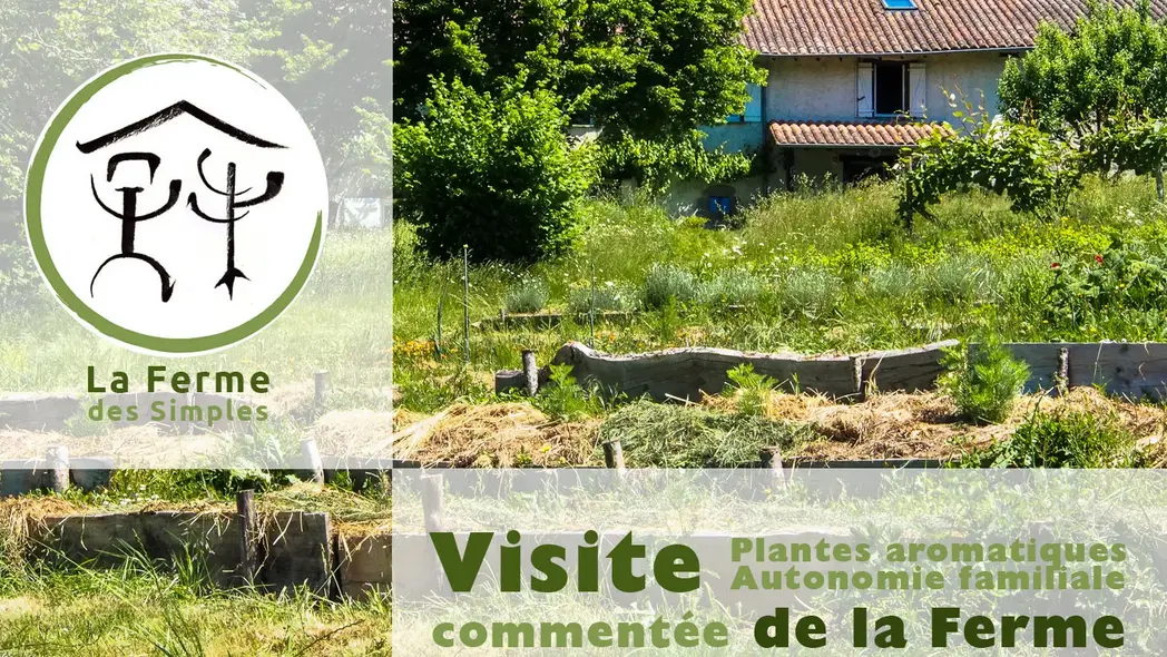 Visite de la ferme