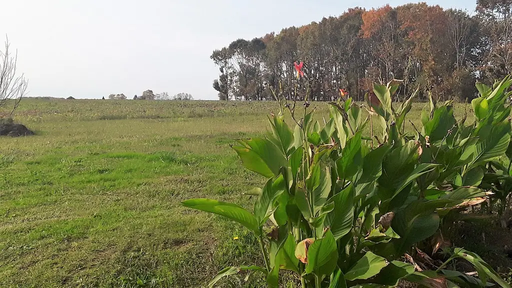 Vitte - vue jardin arrière