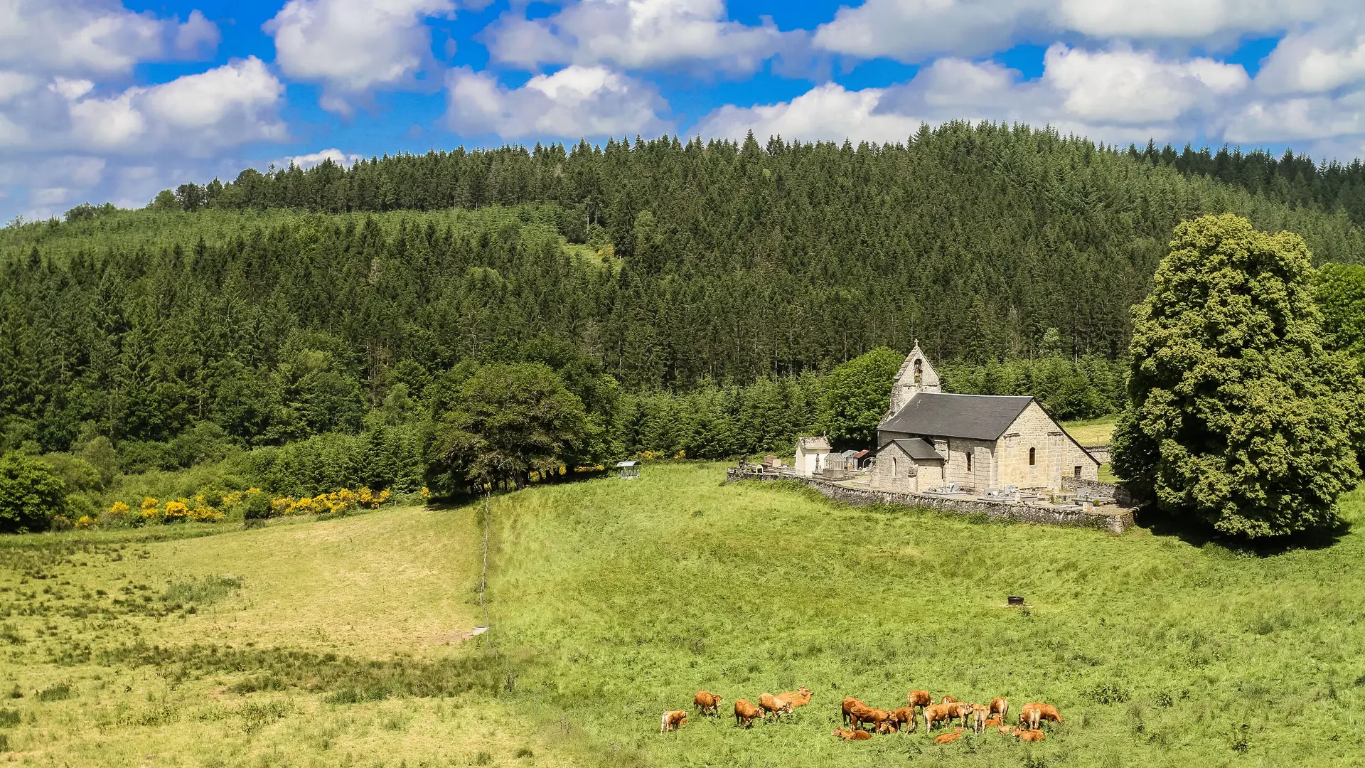 Vue Eglise aux bois © N Granger