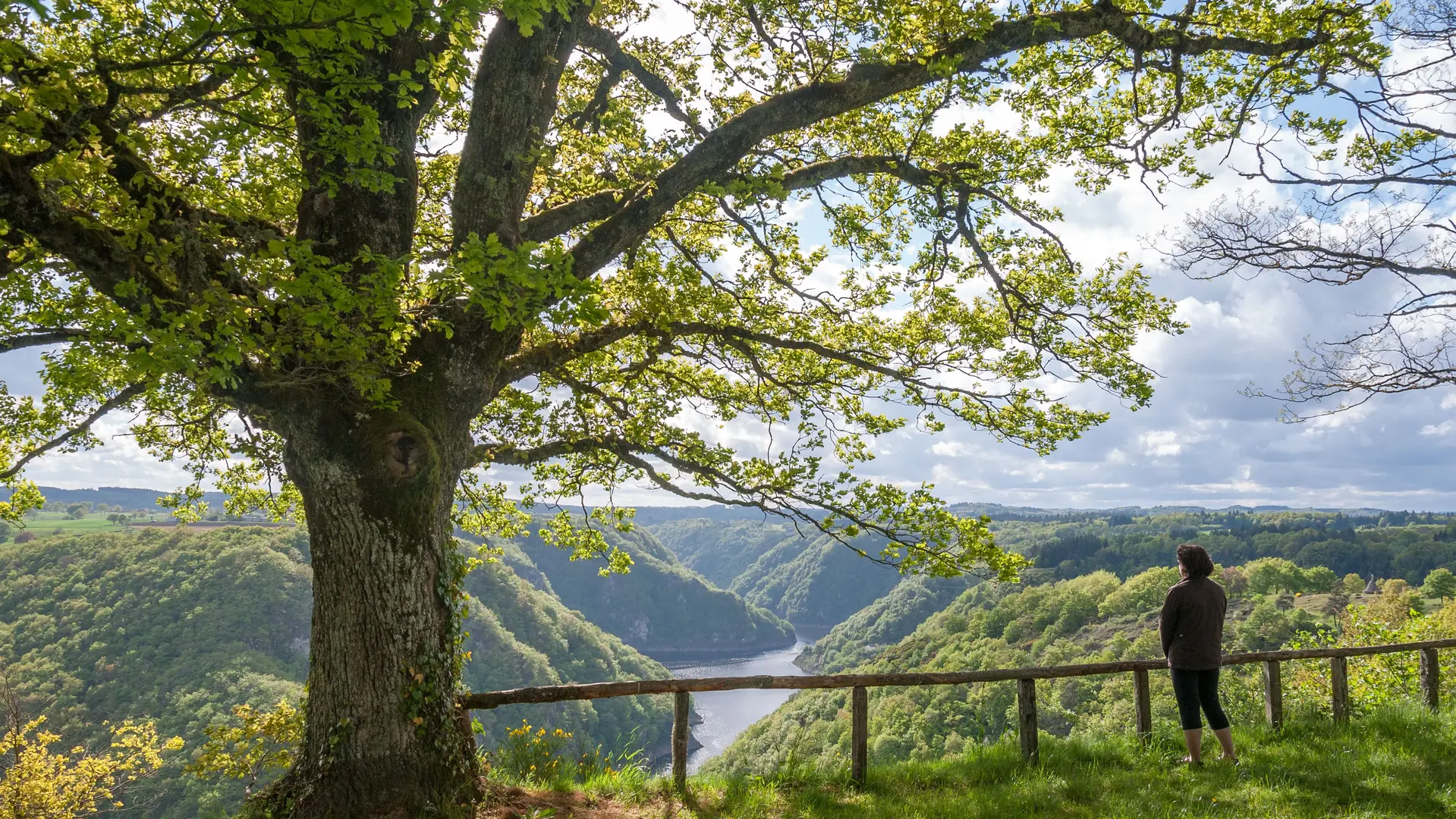 Vue_générale-St-Nazaire-Josselin_Matthiaud