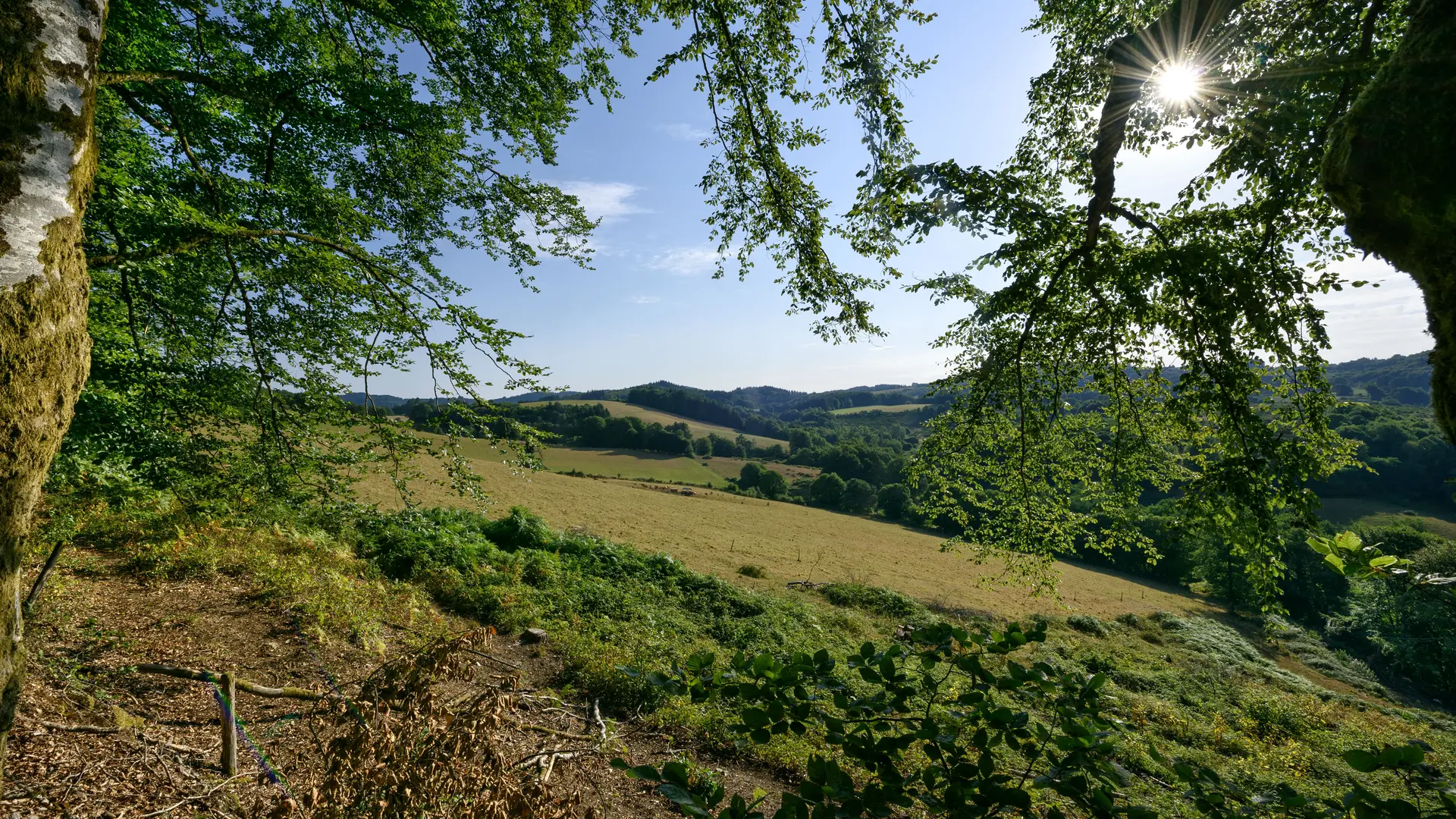 Vue du Mont-Ceix - Chamberet © Benoit Charles  (8)